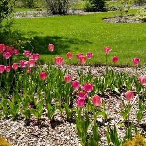 Meet your Posher, Deborah